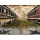 Open Box PC Game - GSP Infected The Twin Vaccine Collectors Edition Hidden Object Game