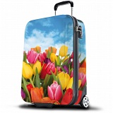 SUITSUIT 20" Tulips ABS Wheel Aboard Trolley Case / Suitcase